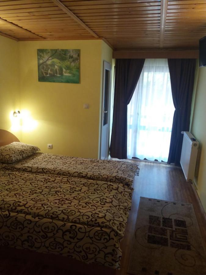 Pension Calborean Tălmaciu Exteriér fotografie