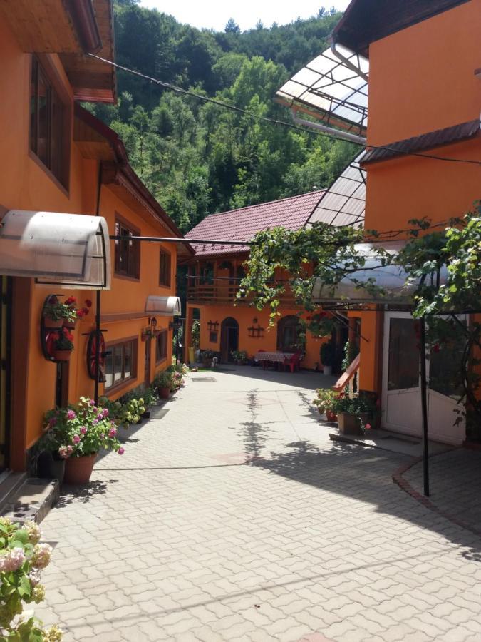 Pension Calborean Tălmaciu Exteriér fotografie