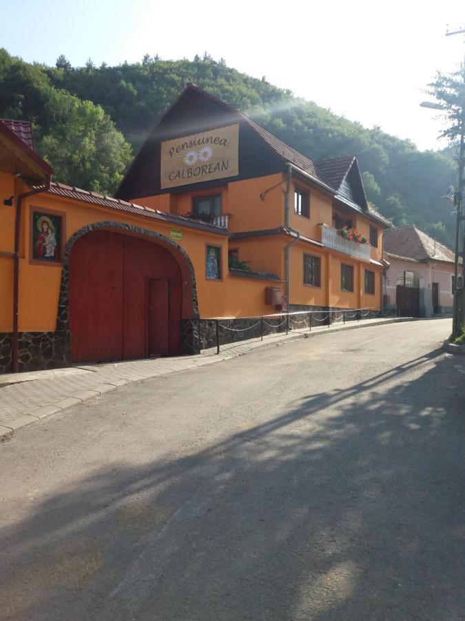 Pension Calborean Tălmaciu Exteriér fotografie