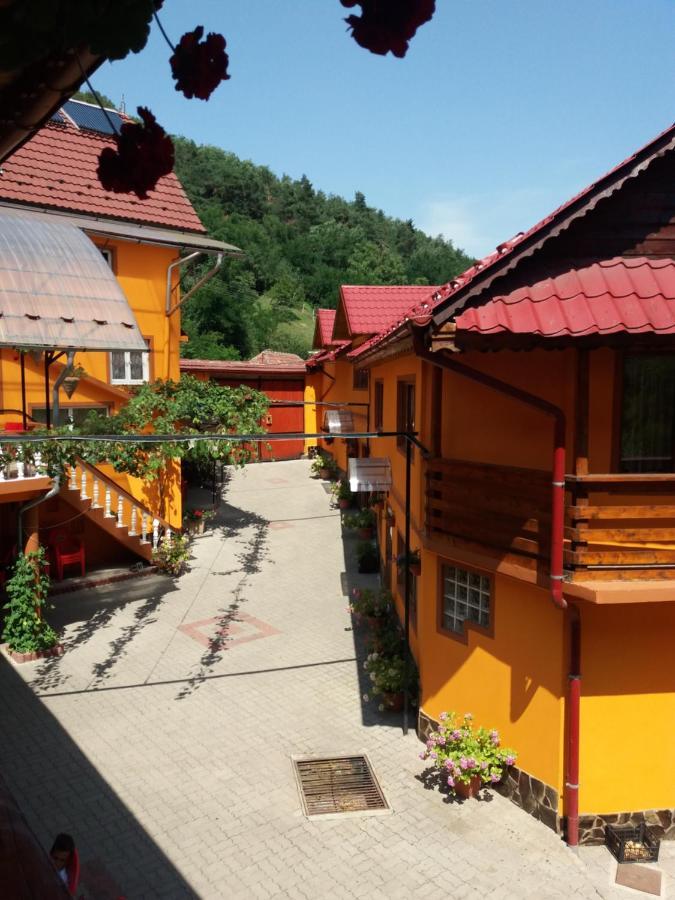Pension Calborean Tălmaciu Exteriér fotografie