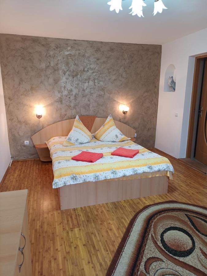 Pension Calborean Tălmaciu Exteriér fotografie