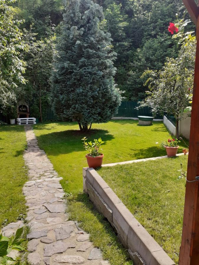 Pension Calborean Tălmaciu Exteriér fotografie