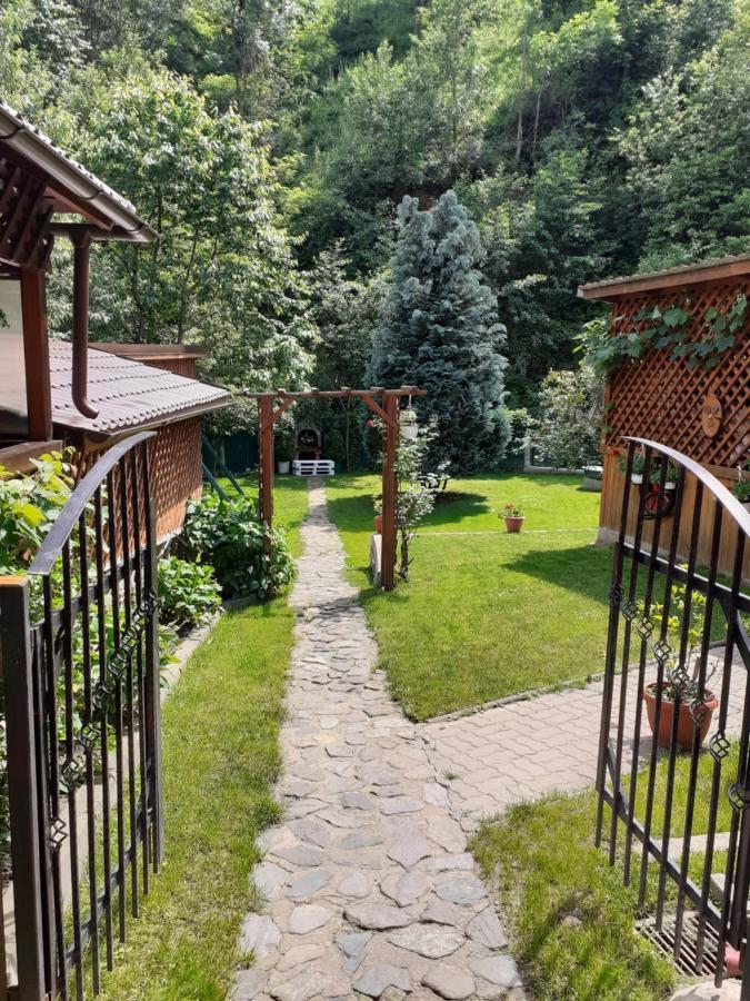 Pension Calborean Tălmaciu Exteriér fotografie