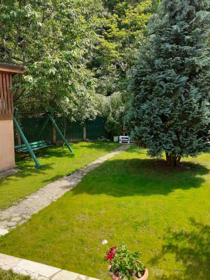 Pension Calborean Tălmaciu Exteriér fotografie